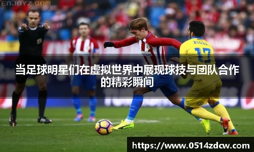 NG体育官方网站